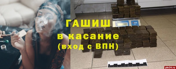 молекула духа Бородино