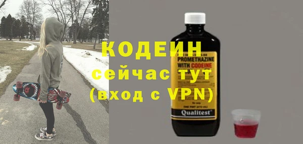 молекула духа Бородино