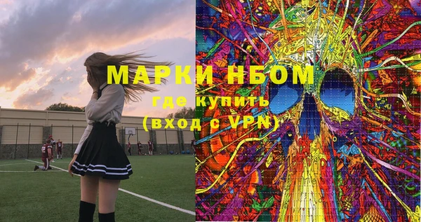 молекула духа Бородино