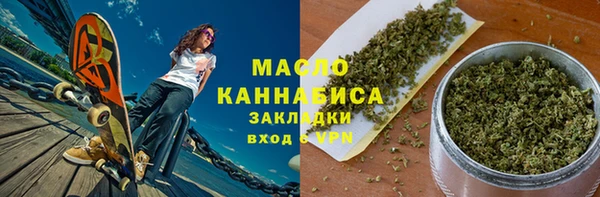 молекула духа Бородино