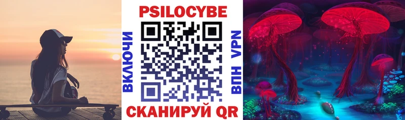 как найти закладки  Котлас  Псилоцибиновые грибы мухоморы 